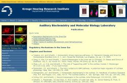 Thumbnail of Lab publications page